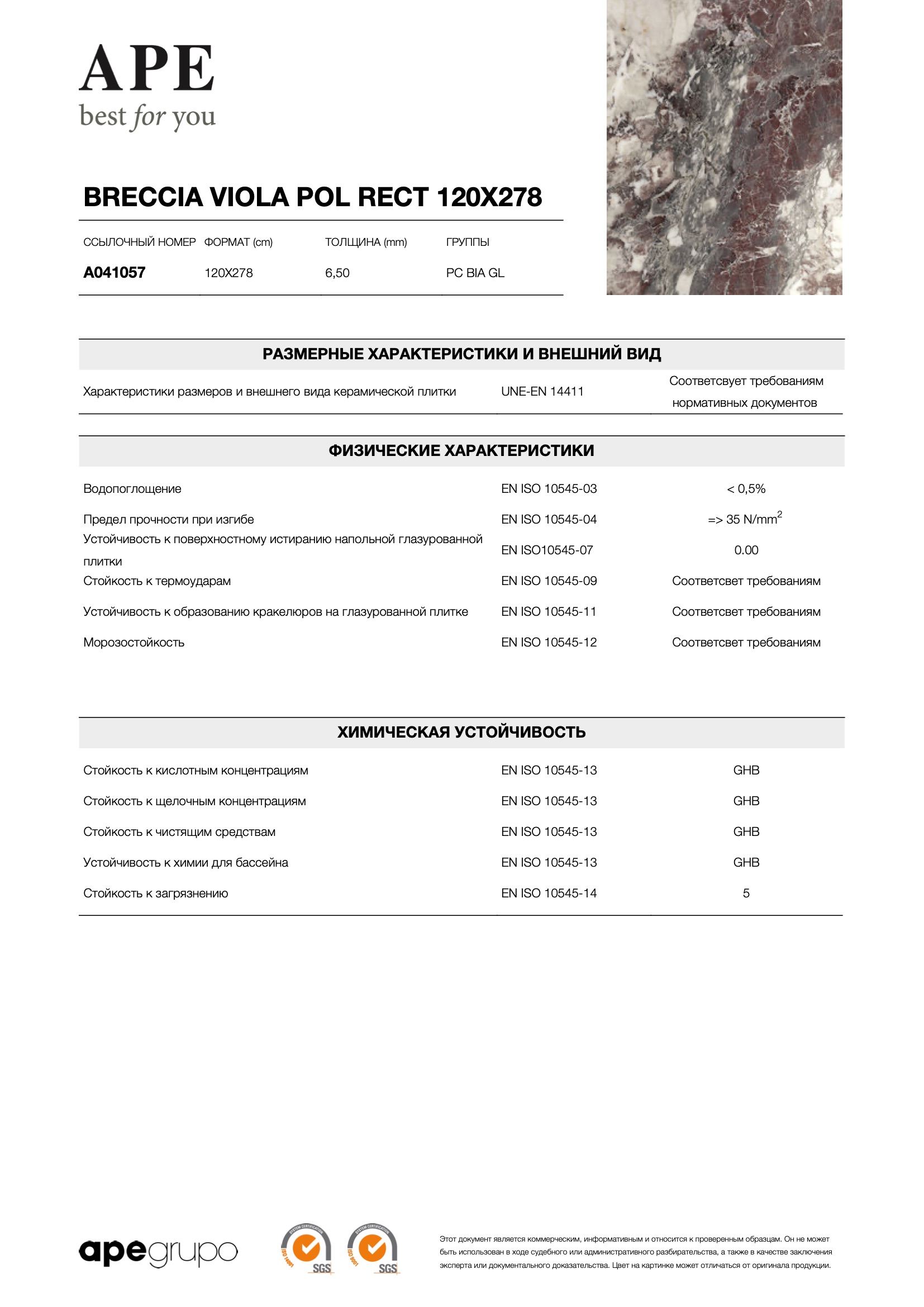 Breccia Viola Pol Rect 120x278 - 6.5 mm