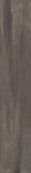Dolphin Coal 120x20 - 9 мм