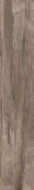 Dolphin Oak Natural Rett R11 120x30 - 20 мм