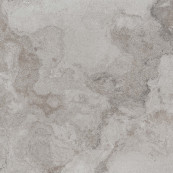 Alpes Raw Grey 60x60 - 9 мм