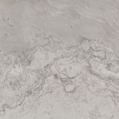 Alpes Raw Grey 60x60 - 9 мм