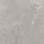 Alpes Raw Grey 60x60 - 9 мм