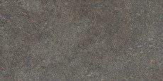 Native Forest Lapp. Rett 120x60 - 9 мм