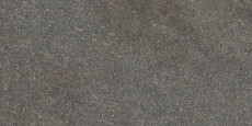 Native Forest Lapp. Rett 120x60 - 9 мм