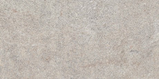 Native Ash Lapp. Rett 120x60 - 9 мм