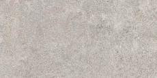 Native Ash Lapp. Rett 120x60 - 9 мм