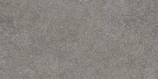 Native Fog Lapp. Rett 120x60 - 9 мм