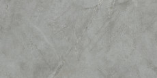 Atlantis Grey 120x60 - 8.5 мм