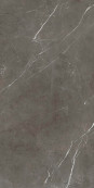 Sensi 900 Stone Grey 120x60 - 8.5 мм