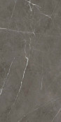 Sensi 900 Stone Grey 120x60 - 8.5 мм