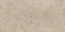 Poetry Stone Pirenei Ecru P.tech R11 120x60 - 20 мм