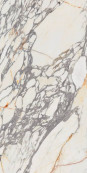 Ariana Epoque 21 Arabesc. Lapp. 3D Rett 120x60 - 8.5 мм