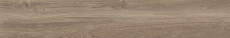 Poetry Wood Oak 120x20 - 8.5 мм