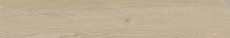 Poetry Wood Gold R11 Rett P.tech 120x20 - 8.5 мм