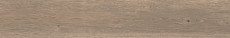 Poetry Wood Ecru R11 Rett P.tech 120x20 - 8.5 мм