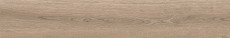 Poetry Wood Ecru R11 Rett P.tech 120x20 - 8.5 мм