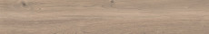 Poetry Wood Ecru R11 Rett P.tech 120x20 - 8.5 мм