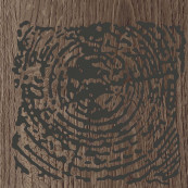 Poetry Decor Metal Oak 20x20 - 8.5 мм
