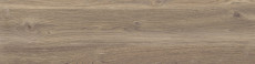 Poetry Wood Oak R11 Rett P.tech 120x30 - 20 мм