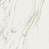 Sensi Signoria Calacatta Michelangelo Lux Rett 120x120 - 8.5 мм