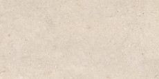 Poetry Stone Trani Beige 120x60 - 8.5 мм