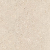 Poetry Stone Trani Beige 60x60 - 8.5 мм