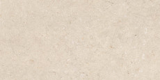 Poetry Stone Trani Beige P.tech R11 120x60 - 20 мм