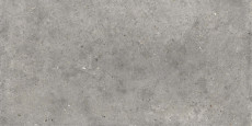 Poetry Stone Pirenei Grey 120x60 - 8.5 мм