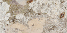 Sensi Nuance Patagonia Wow Lux 3D Rett 120x60 - 8.5 мм