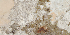 Sensi Nuance Patagonia Wow 120x60 - 8.5 мм