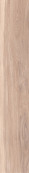 Soleras Beige 120x20 - 10 мм