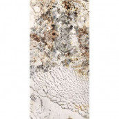 Ariana Nobile Blanc Du Blanc Lux+ 120x60 - 8.5 мм