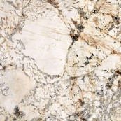 Ariana Nobile Blanc Du Blanc Rett 120x120 - 8.5 мм