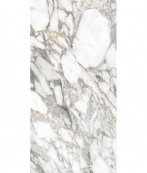 Flaviker Supreme Memories Bian.vagli Natural Rett P. Tech R10 120x60 - 8.5 мм