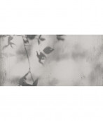 Flaviker Art Walls Shadow Natural Rett 120x60 - 6 мм