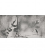 Flaviker Art Walls Shadow Natural Rett 120x60 - 6 мм