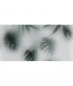 Flaviker Art Walls Beyond Lux Rett 120x60 - 6 мм