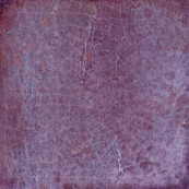 Dyroy Aubergine 10x10 Q-20