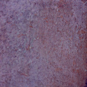 Dyroy Aubergine 10x10 Q-20