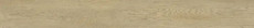 Uno Cognac 22.5x200 - 9 mm