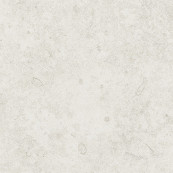 Kendo Ice Anti-Slip 60x60