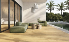Bloom Honey Sp 24x151x0.9 M-104