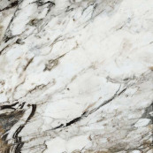 Naxos Rhapsody Fantasy Lev Rett 60x60 - 7 мм