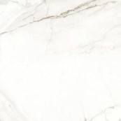 Naxos Rhapsody Emotion Natural Rett 60x60 - 7 мм