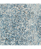 Naxos Orangerie Boboli Natural Rett 60x60 - 7 мм