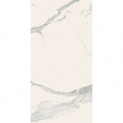REX Statuario Chain F Glossy 240x120 - 6 мм