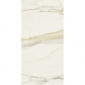 REX Cal. Gold Chain E Glossy 240x120 - 6 мм