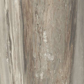 REX Etoile Tropical Matt Rett 160x160 - 6 мм