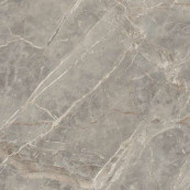 REX Etoile Gris Matt Rett 120x120 - 6 мм