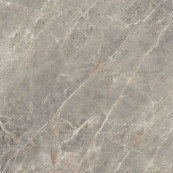 REX Etoile Gris Matt Rett 120x120 - 6 мм